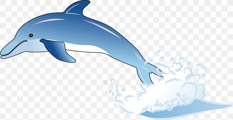 Common Bottlenose Dolphin Wholphin Tucuxi Cartoon, PNG, 1619x837px, Common Bottlenose Dolphin, Blue, Cartoon, Dessin Animxe9, Dolphin Download Free