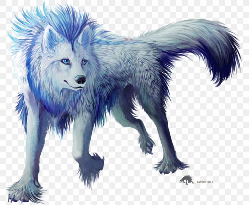 Gray Wolf American Frontier Myth Magic Horse, PNG, 900x740px, Gray Wolf, American Frontier, Arctic Fox, Carnivoran, Dog Like Mammal Download Free