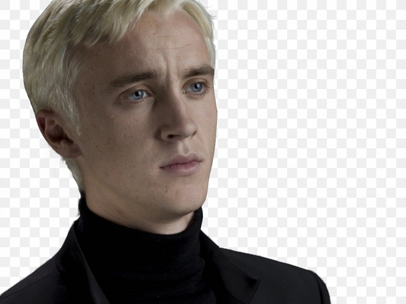 Draco Malfoy Tom Felton Scorpius Hyperion Malfoy Harry Potter And The Philosopher's Stone, PNG, 1024x768px, Watercolor, Cartoon, Flower, Frame, Heart Download Free