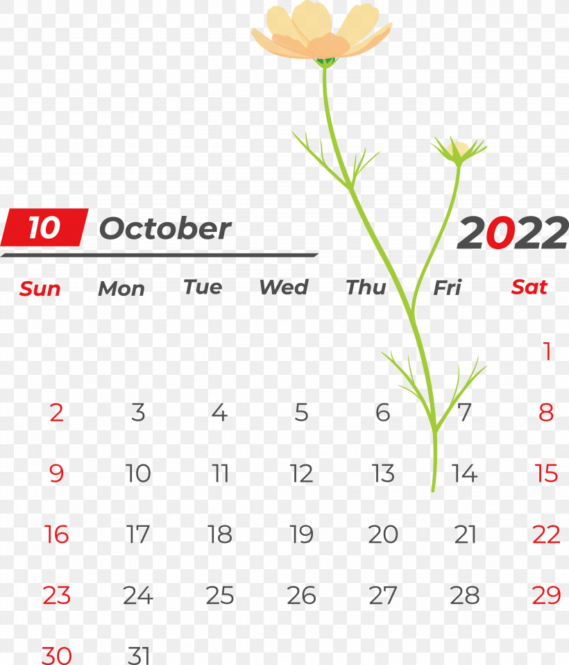 Flower Line Font Petal Calendar, PNG, 3974x4646px, Flower, Biology, Calendar, Geometry, Line Download Free