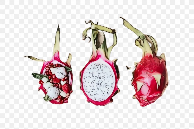 Pitaya Dragonfruit Fruit Plant Fashion Accessory, PNG, 2000x1332px, Watercolor, Dragonfruit, Earrings, Fashion Accessory, Flower Download Free