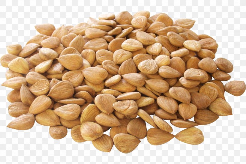Apricot Kernel Nut Seed Almond, PNG, 1922x1283px, Apricot Kernel, Almond, Amygdalin, Apricot, Apricot Oil Download Free