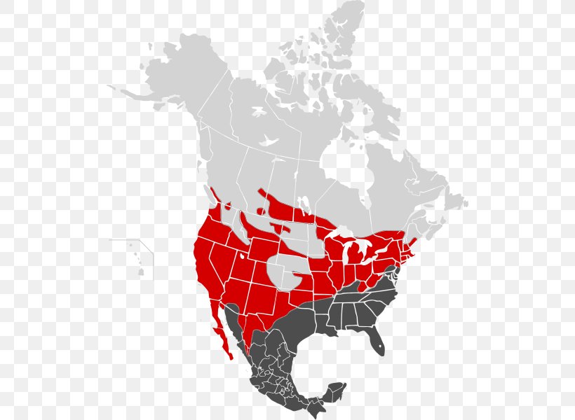 Canada–United States Border Canada–United States Border Mexico Map, PNG, 516x600px, United States, Art, Canada, Geographical Feature, Map Download Free