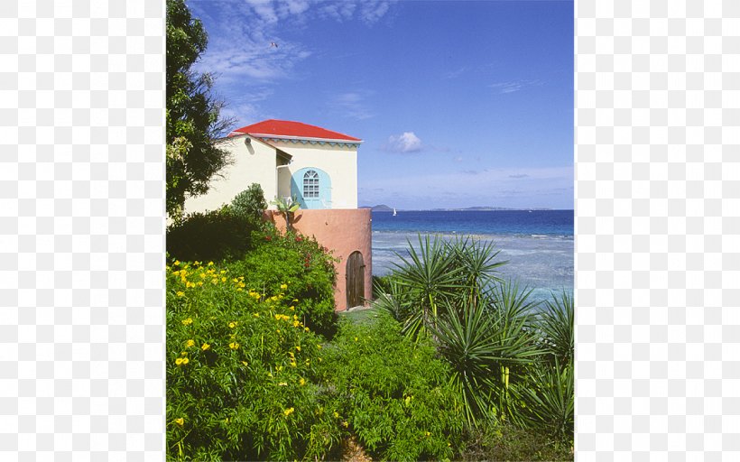 Caye Chapel Pusser's Marina Cay Resort Scrub Island Resort, Spa & Marina, Autograph Collection, PNG, 1044x652px, Resort, Beach, British Virgin Islands, Building, Cay Download Free