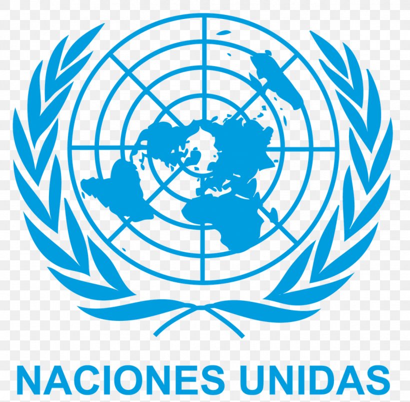 Flag Of The United Nations Palace Of Nations United Nations Conference On Trade And Development Logo, PNG, 1122x1100px, United Nations, Area, Brand, Consultative Status, Flag Of The United Nations Download Free
