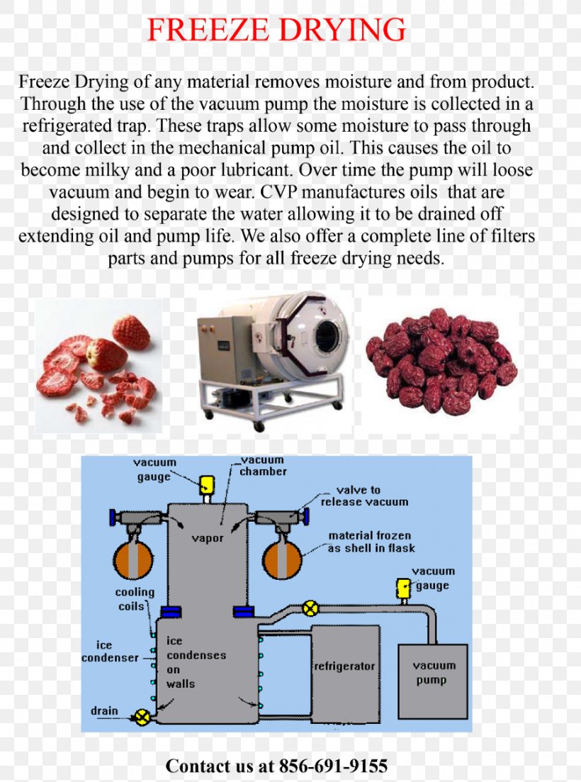 Freeze-drying Freezing Spray Drying Industry, PNG, 900x1211px, Drying, Diagram, Food Drying, Freezedrying, Freezing Download Free