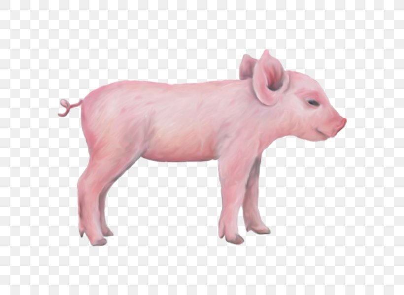 Miniature Pig Wall Decal Sticker Farm, PNG, 600x600px, Miniature Pig, Breed, Cattle Like Mammal, Decal, Domestic Pig Download Free