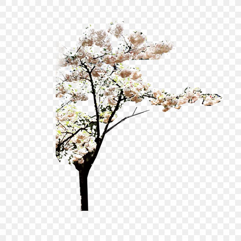Tree Download, PNG, 2268x2268px, Tree, Blossom, Branch, Cherry Blossom, Flower Download Free