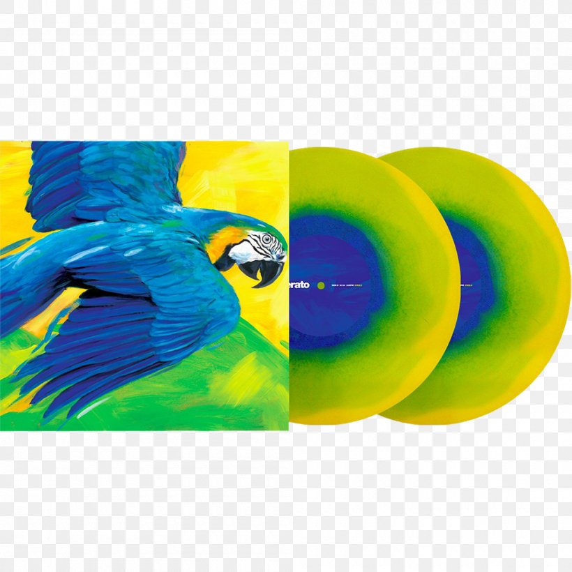 Brazil Phonograph Record Serato Audio Research Vinyl Emulation Software Scratch Live, PNG, 1000x1000px, Brazil, Beak, Bird, Cdj, Common Pet Parakeet Download Free