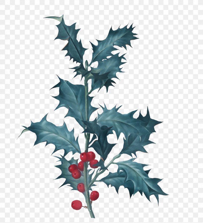Christmas Day, PNG, 1745x1920px, Watercolor, American Holly, Aquifoliales, Branch, Christmas Day Download Free