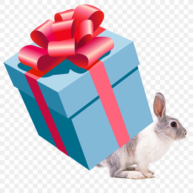 Gift Box Clip Art, PNG, 1000x1000px, Gift, Box, Christmas Gift, Domestic Rabbit, Free Content Download Free