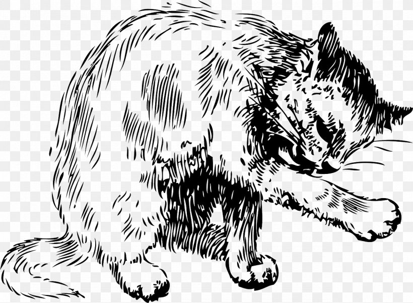 Cat Kitten Washing Clip Art, PNG, 1280x939px, Cat, Art, Artwork, Big Cats, Black And White Download Free
