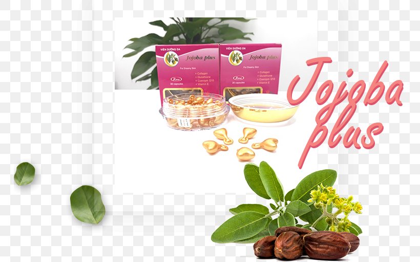 Jojoba Oil Skin Care Cream Health, PNG, 765x511px, Oil, Antiaging Cream, Cream, Cumin, Cymbopogon Martinii Download Free
