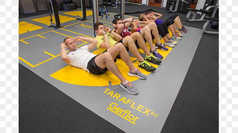 Physical Fitness Flooring Sports Venue Exercise, PNG, 809x460px, Physical Fitness, Exercise, Flooring, Indoor Games And Sports, Sport Venue Download Free