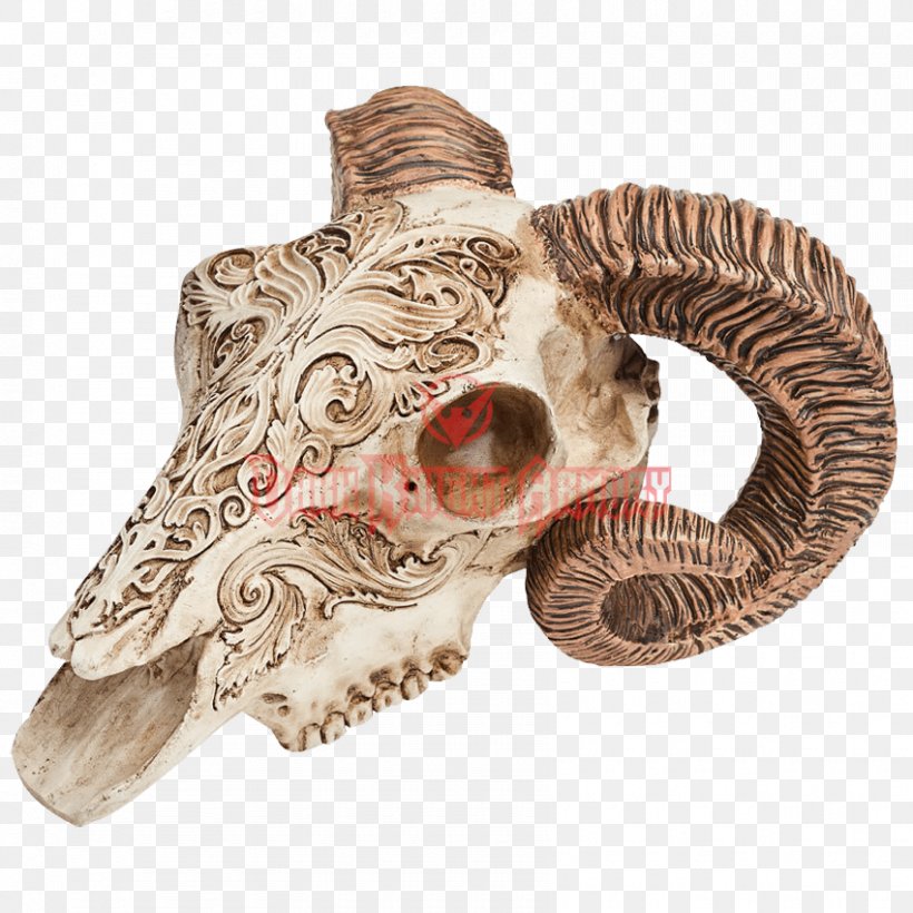 Scrimshaw Human Skull Horn Bone, PNG, 850x850px, Scrimshaw, Alchemy, Antler, Bone, Engraving Download Free