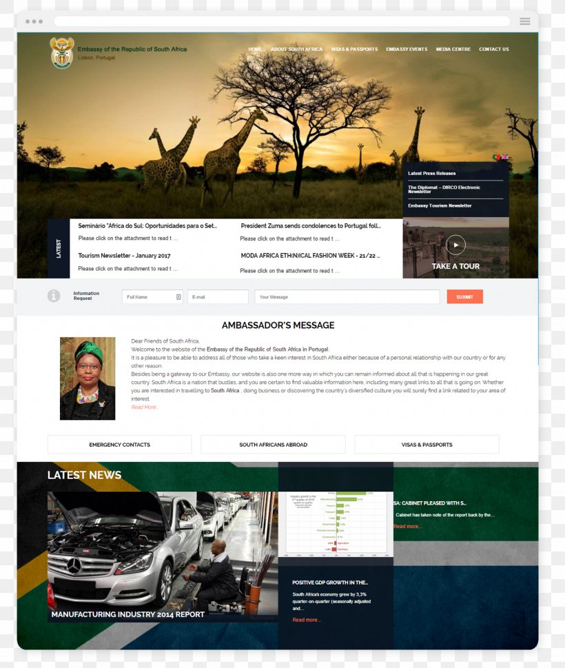 Web Design Web Hosting Service Sul Africa, PNG, 1300x1537px, Web Design, Advertising, Africa, Brand, British People Download Free