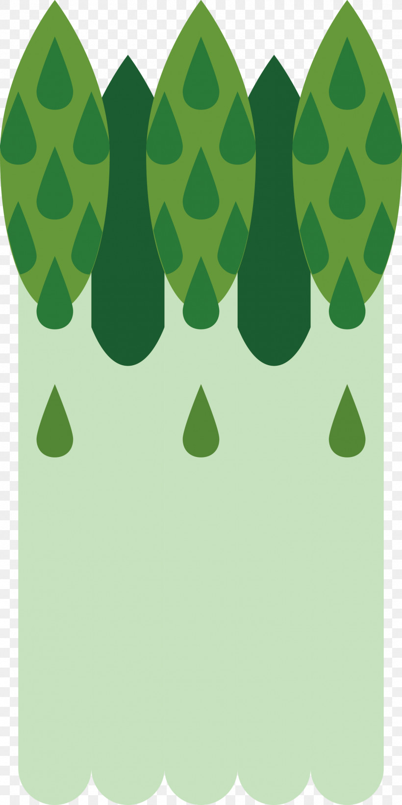Asparagus, PNG, 1500x3000px, Asparagus, Green, Leaf, Plant, Tree Download Free