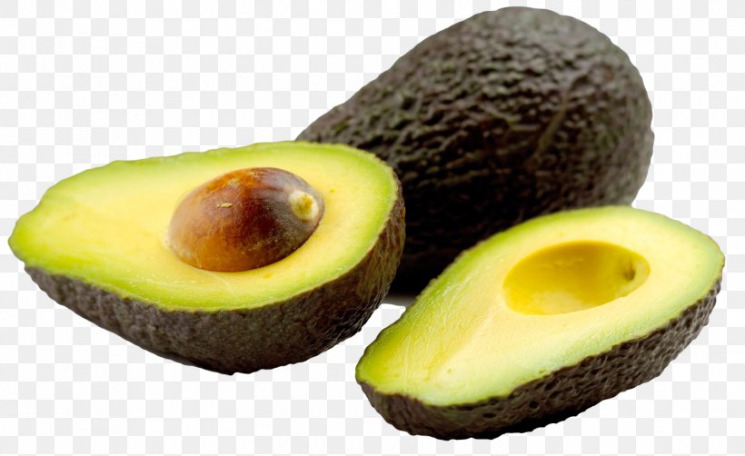 Hass Avocado Fat Food Ingredient Eating, PNG, 1504x921px, Hass Avocado, Avocado, Avocado Oil, Eating, Fat Download Free
