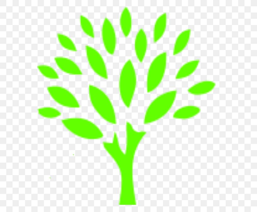 Image Clip Art Go Green Auto Spa Tree, PNG, 635x678px, Tree, Branch, Company, Flora, Grass Download Free
