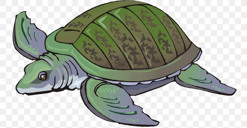 Loggerhead Sea Turtle Common Snapping Turtle Tortoise, PNG, 750x424px, Loggerhead Sea Turtle, Animal, Animation, Chelydridae, Common Snapping Turtle Download Free