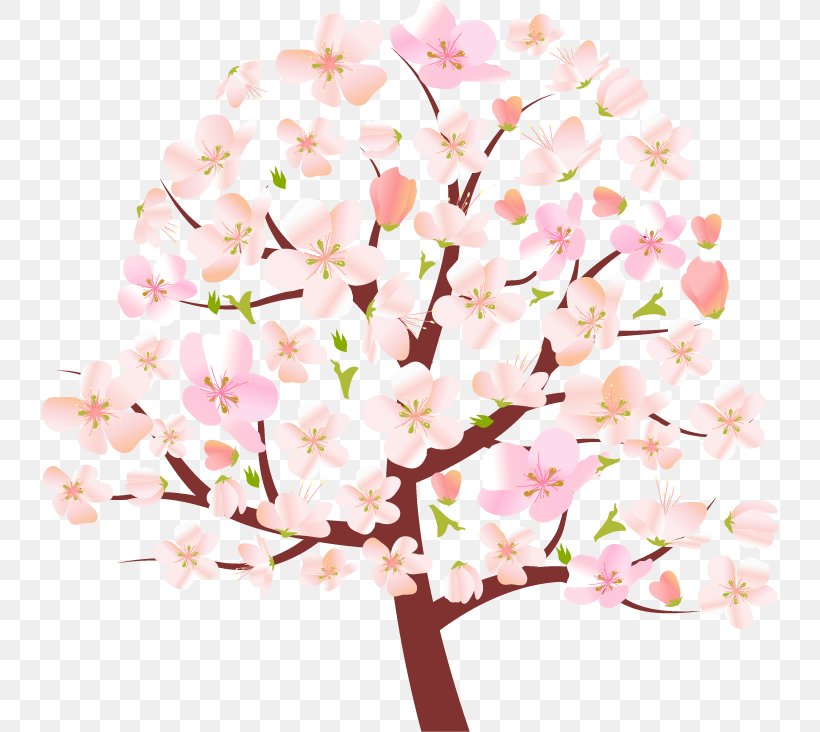Tree Spring Cherry Blossom Clip Art, PNG, 736x732px, Tree, Blossom, Branch, Cherry Blossom, Cut Flowers Download Free