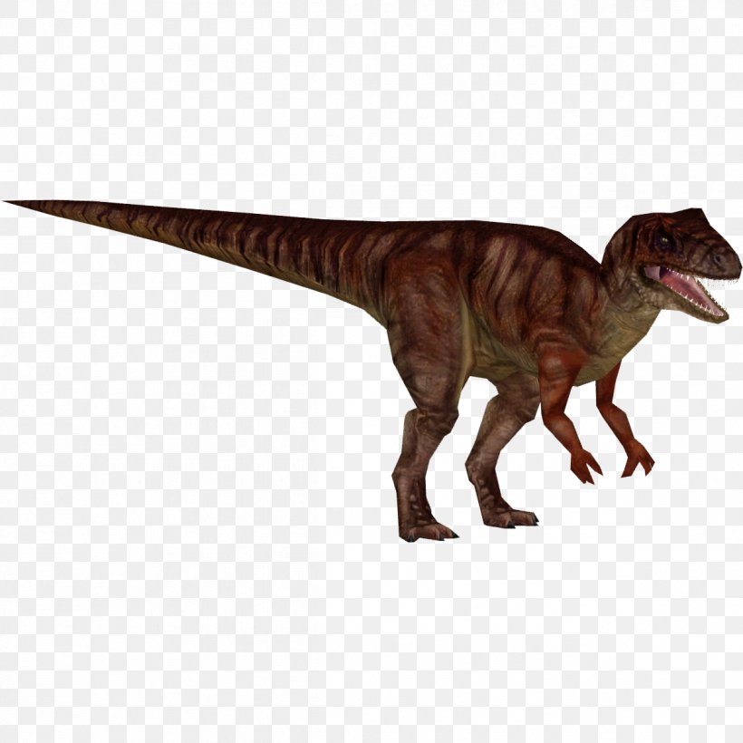 Jurassic Park: Operation Genesis Allosaurus Zoo Tycoon 2 Velociraptor Tyrannosaurus, PNG, 1199x1199px, Jurassic Park Operation Genesis, Allosaurus, Animal Figure, Brachiosaurus, Carcharodontosaurus Download Free