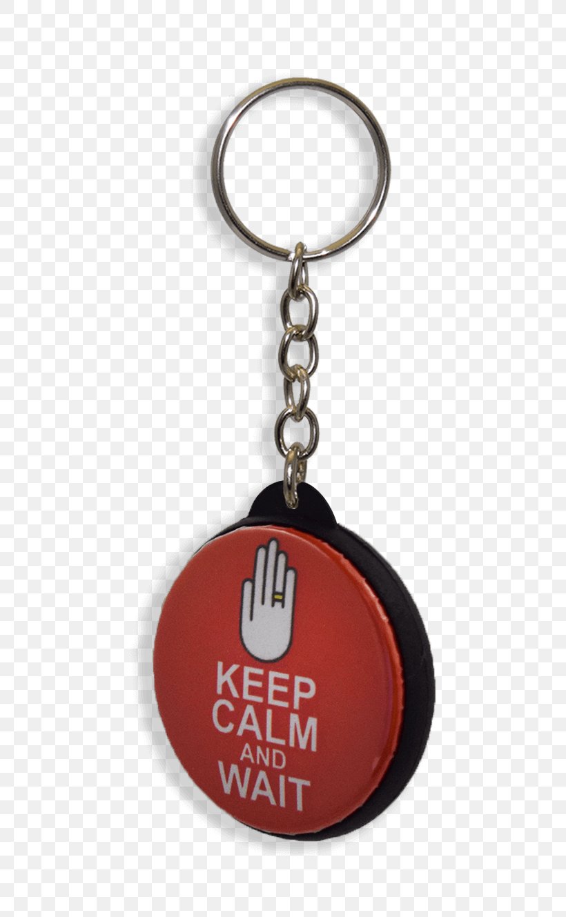 Key Chains, PNG, 732x1329px, Key Chains, Fashion Accessory, Keychain Download Free