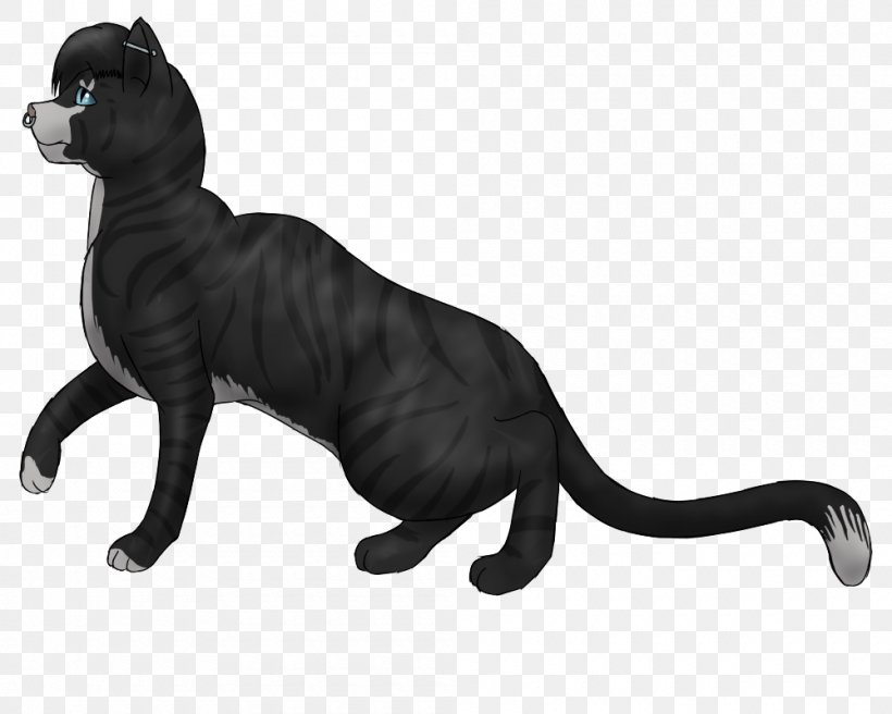 Whiskers Cat Dog Canidae Mammal, PNG, 1000x800px, Whiskers, Black, Black And White, Black Cat, Black M Download Free
