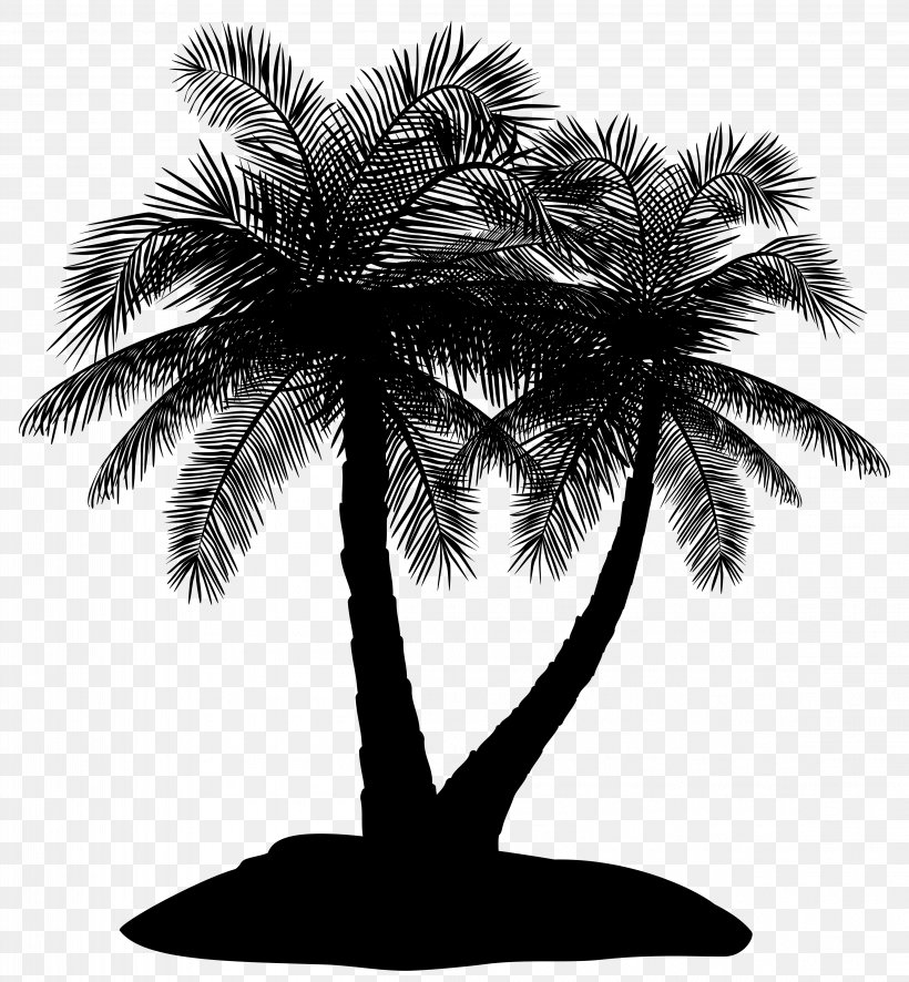 Asian Palmyra Palm Date Palm Palm Trees Silhouette Borassus, PNG, 4623x5000px, Asian Palmyra Palm, Arecales, Attalea Speciosa, Blackandwhite, Borassus Download Free