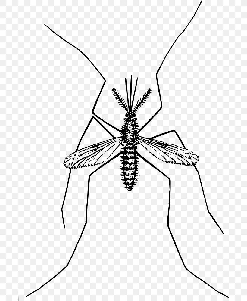 Clip Art, PNG, 700x1000px, Marsh Mosquitoes, Arthropod, Artwork, Black And White, Fly Download Free