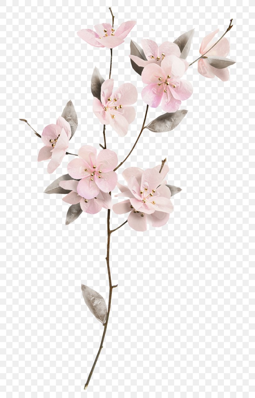 Cut Flowers Floral Design Floristry, PNG, 741x1280px, Flower, Art, Blossom, Branch, Cherry Blossom Download Free