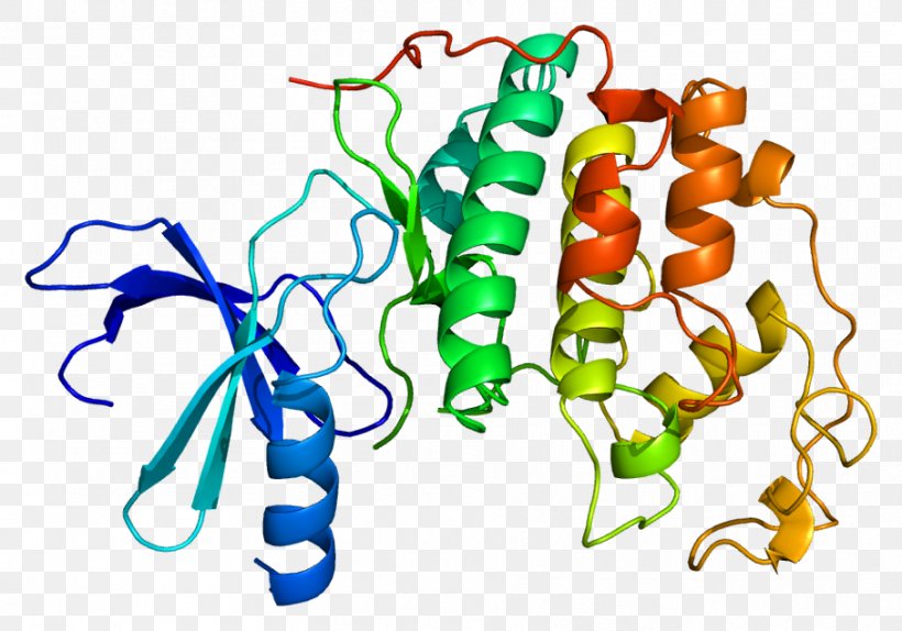 Cyclin-dependent Kinase 2 Protein Kinase, PNG, 908x636px, Cyclindependent Kinase 2, Animal Figure, Area, Artwork, Casein Kinase 2 Download Free