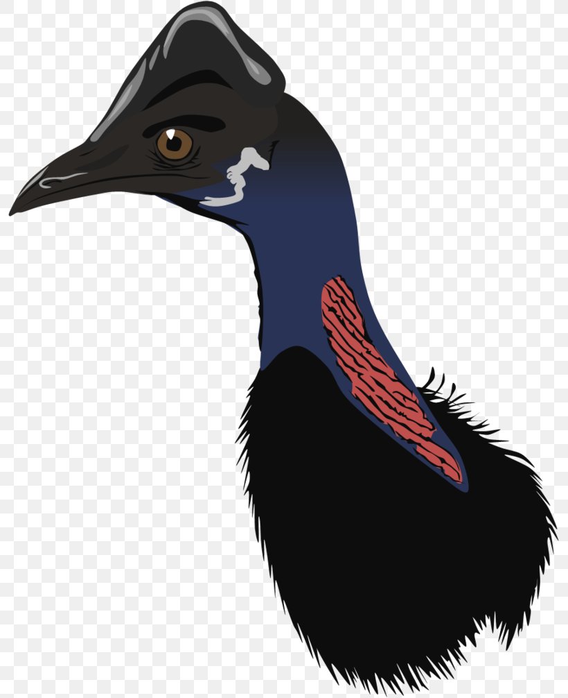 Beak Flightless Bird Wing Feather, PNG, 795x1006px, Beak, Bird, Feather, Flightless Bird, Neck Download Free