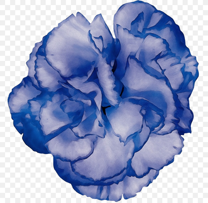 Blue Rose, PNG, 759x800px, Watercolor, Blue, Blue Rose, Cut Flowers, Flower Download Free