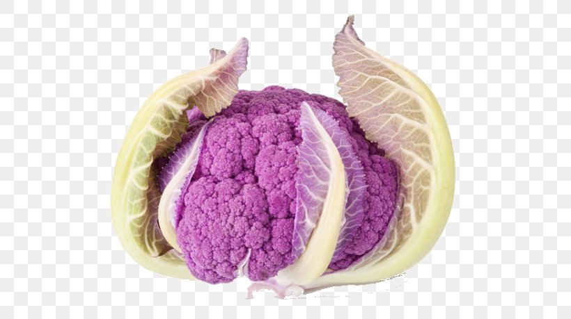 Cauliflower Stock Photography Purple, PNG, 600x459px, Cauliflower, Alamy, Broccoflower, Broccoli, Cabbage Download Free