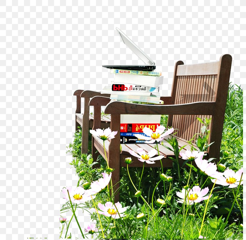 Seat Chair Park, PNG, 800x800px, Seat, Bench, Chair, Flower, Furniture Download Free