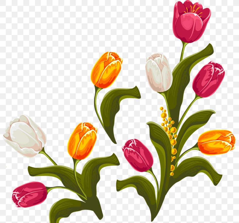 Tulip Floral Design Flower, PNG, 800x765px, Tulip, Art, Cut Flowers, Floral Design, Floristry Download Free