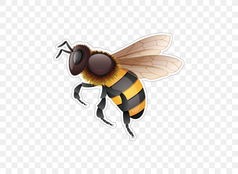 Western Honey Bee Hornet Bumblebee, PNG, 600x600px, Bee, Arthropod, Bumblebee, Fly, Honey Bee Download Free