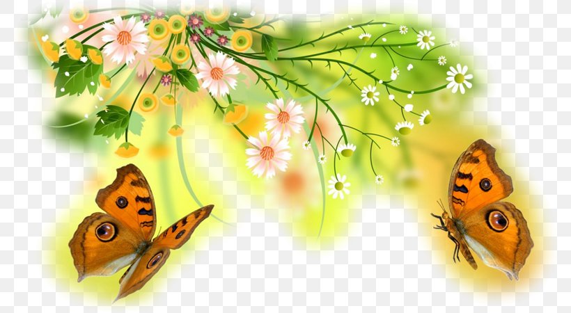 Butterfly Desktop Wallpaper Flower Insect Papillon Dog, PNG, 800x450px, Butterfly, Arthropod, Brush Footed Butterfly, Computer Monitors, Display Resolution Download Free