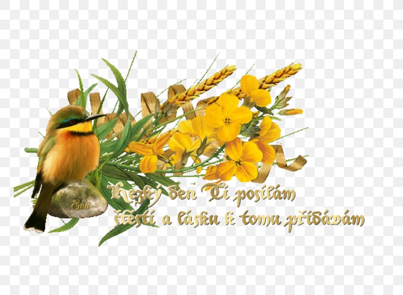 Flower Bouquet AGEP Blog, PNG, 800x600px, Flower, Bird, Birthday, Blog, Flora Download Free