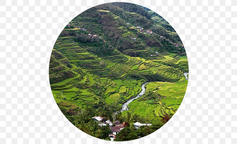 World Heritage Centre Cultural Landscape Of Bali Province: The Subak System As A Manifestation Of The Tri Hita Karana Philosophy Sustainable Tourism World Heritage Site UNESCO, PNG, 500x500px, World Heritage Centre, Biome, Cultural Heritage, Cultural Tourism, Culture Download Free