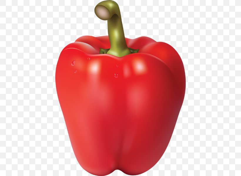 Bell Pepper Chili Con Carne Chili Pepper Vector Graphics Black Pepper, PNG, 444x600px, Bell Pepper, Apple, Bell Peppers And Chili Peppers, Black Pepper, Capsicum Download Free