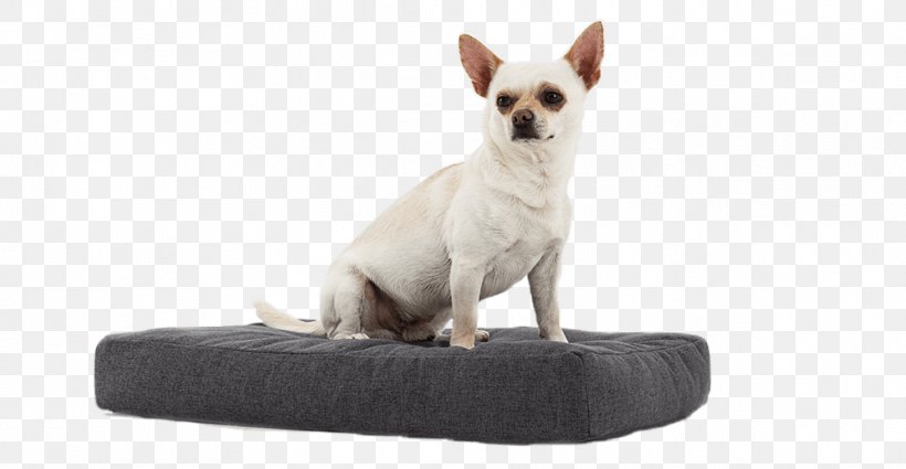 Dog Breed Chihuahua Mattress Bed Cots, PNG, 1016x527px, Dog Breed, Animal, Bassinet, Bed, Breed Download Free