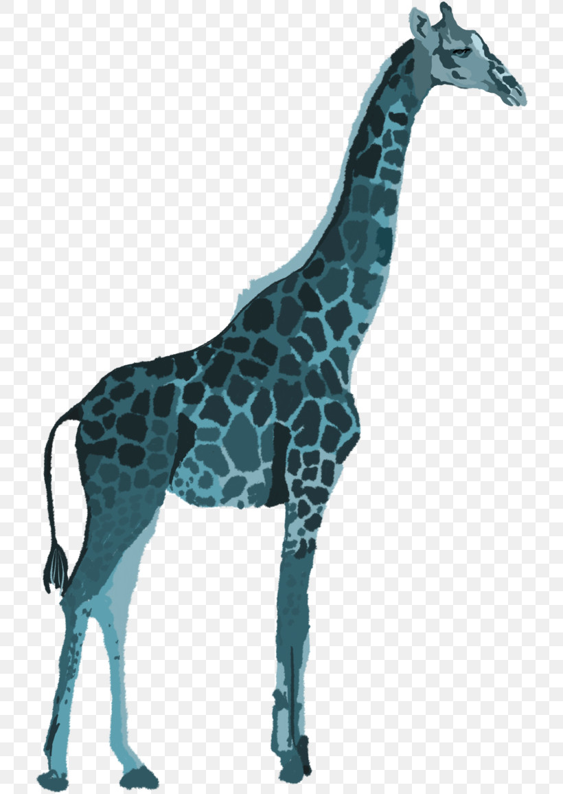 Giraffe Giraffidae Animal Figure Wildlife Snout, PNG, 718x1155px, Giraffe, Animal Figure, Giraffidae, Neck, Snout Download Free