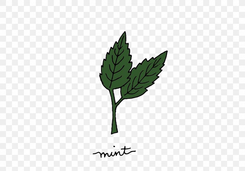 Mint Medicinal Plants Herb, PNG, 1400x980px, Mint, Branch, Grass, Green, Herb Download Free
