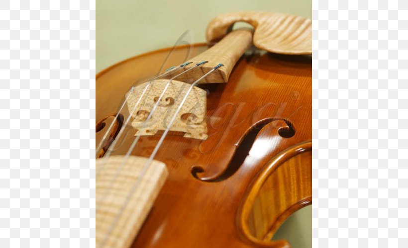 Bass Violin Violone Viola Musical Instruments, PNG, 500x500px, Watercolor, Cartoon, Flower, Frame, Heart Download Free