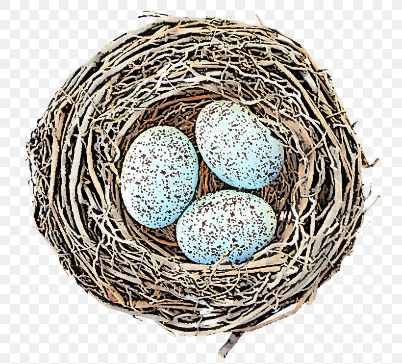 Egg, PNG, 800x742px, Egg, Bird Nest, Nest, Oval Download Free