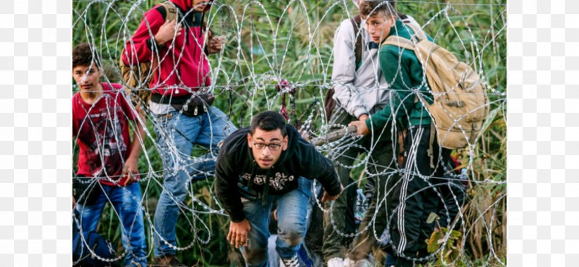 European Migrant Crisis Refugee Human Migration Immigration, PNG, 1728x800px, European Migrant Crisis, Alien, Asylum Seeker, Dublin Regulation, Europe Download Free