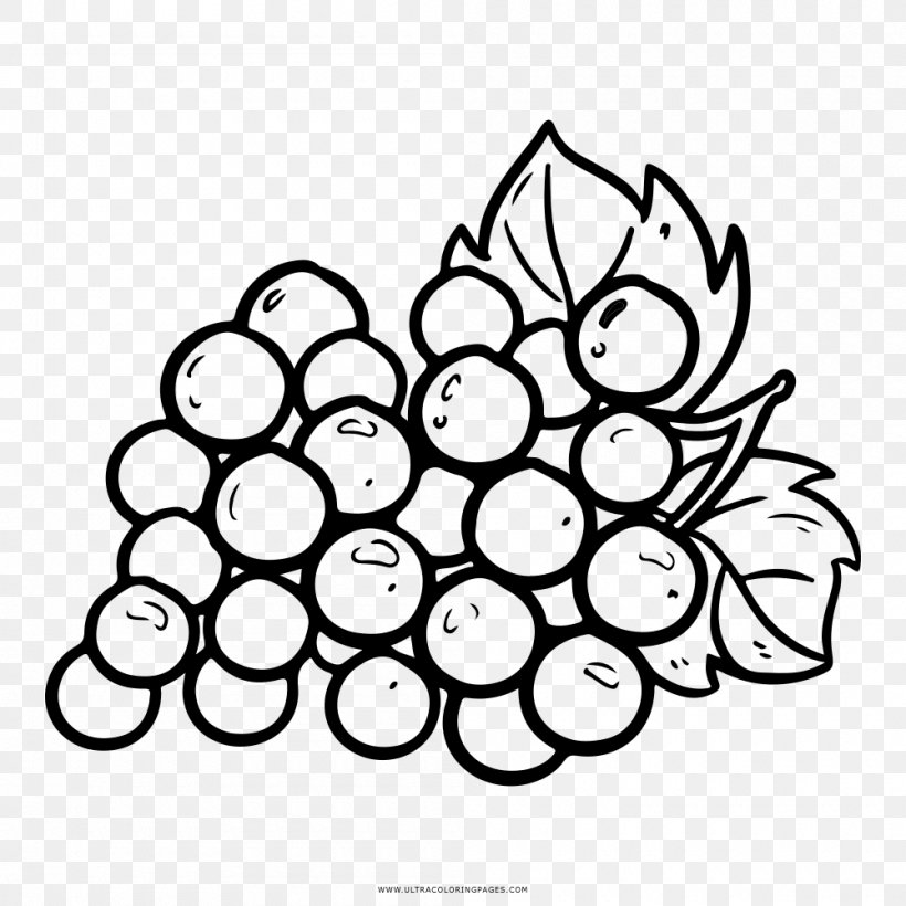 Grapevines Coloring Book Fruit, PNG, 1000x1000px, Grape, Adult, Black And White, Book, Coloring Book Download Free