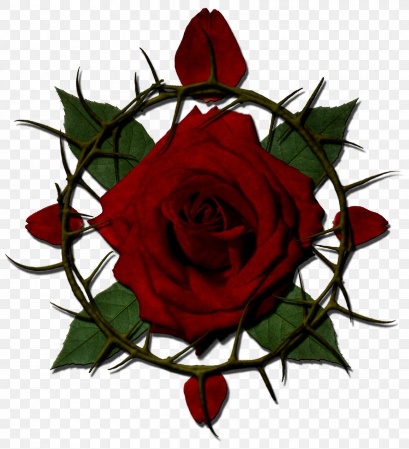 Rose Thorns, Spines, And Prickles Drawing Clip Art, PNG, 1300x1429px, Rose, Black Rose, Color, Crown Of Thorns, Cut Flowers Download Free